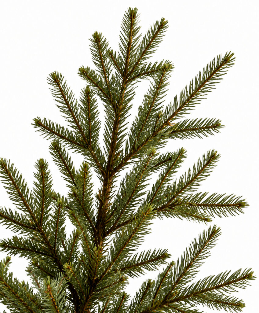 Close-up of a sparse artificial Christmas tree with open, widely spaced branches